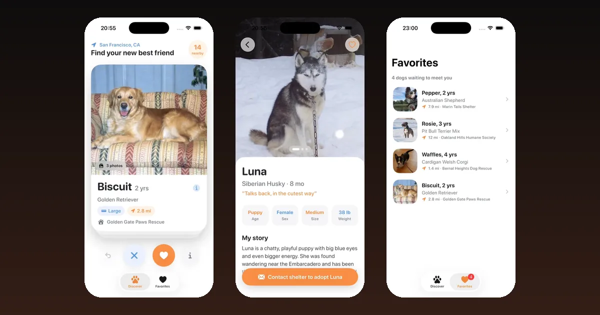 Three screens of PawSwipe, a dog adoption app built in Vibecode from one prompt: a swipe card for Biscuit the Golden Retriever, Luna the Husky's page and the Favorites tab