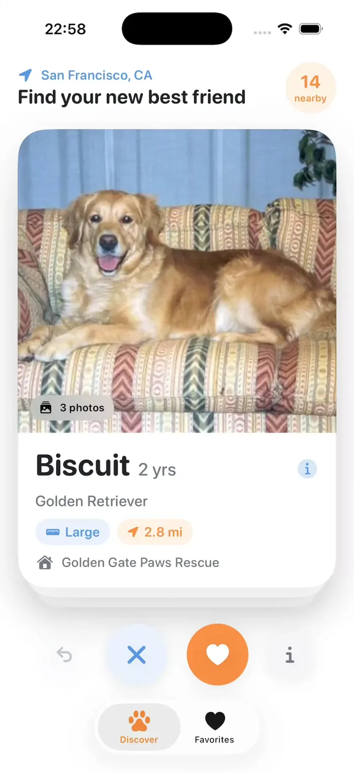 PawSwipe, a dog adoption app built from one prompt in Vibecode