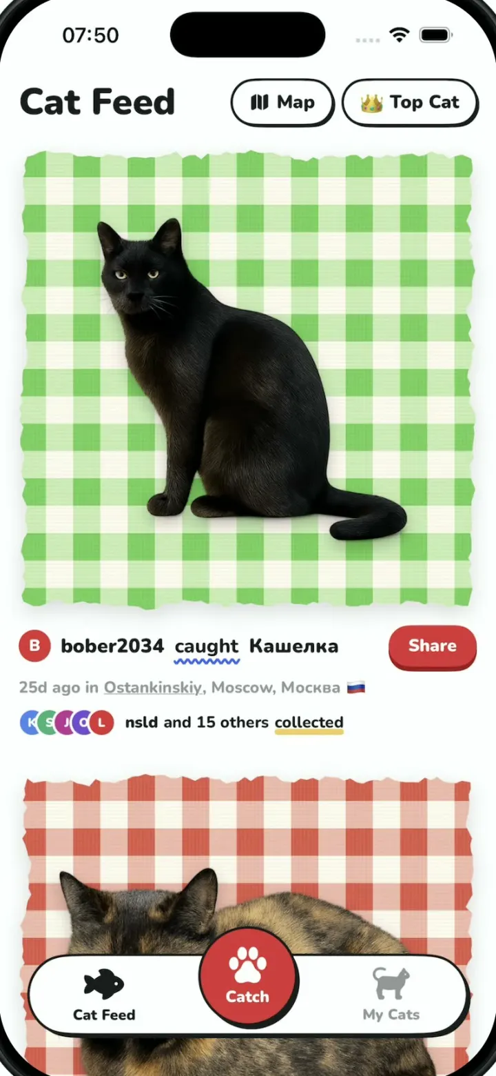 Cat Collector template